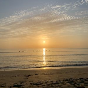 Meet your Posher, Martine